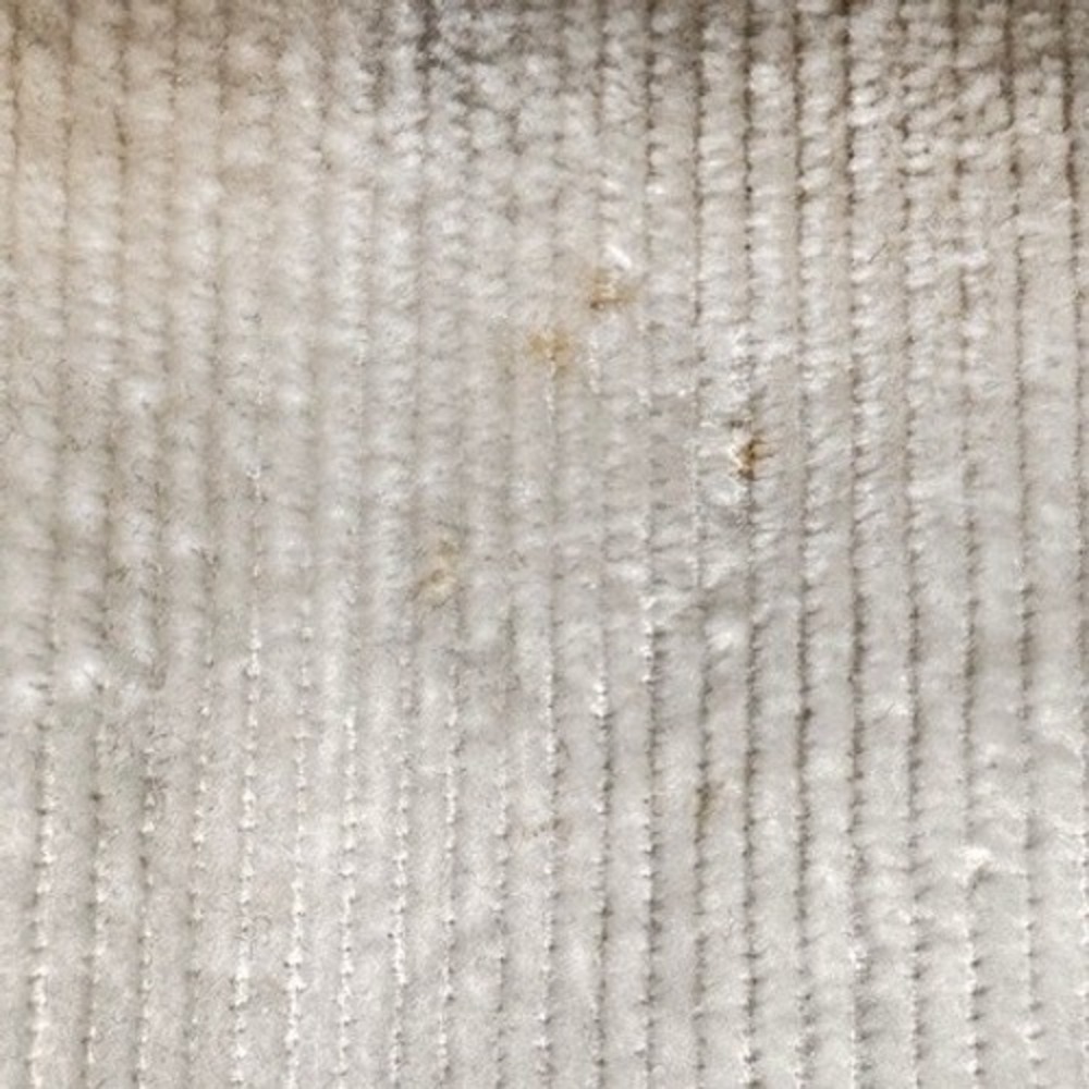 Cream Wide-Leg Women's Pants - Picture 7 of 7
